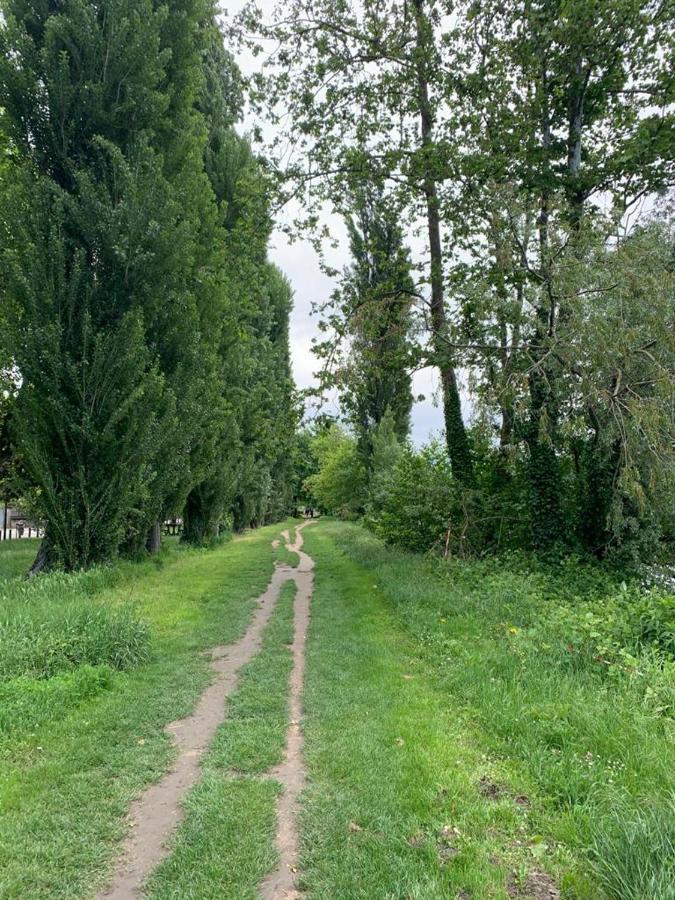 La Villa De Lise Romans-sur-Isère Dış mekan fotoğraf
