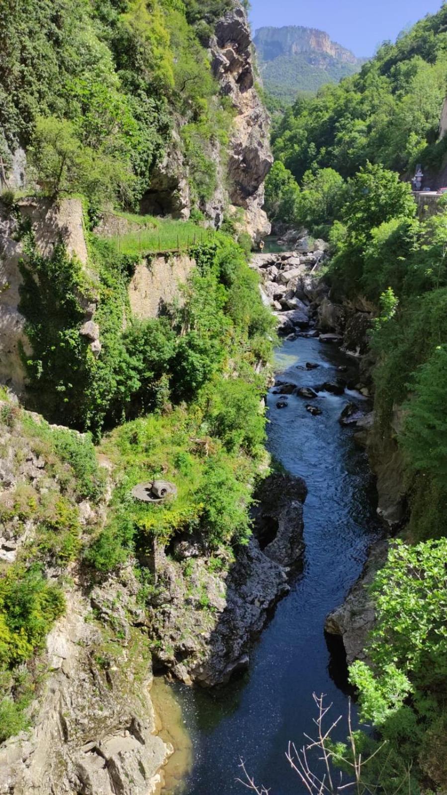 La Villa De Lise Romans-sur-Isère Dış mekan fotoğraf