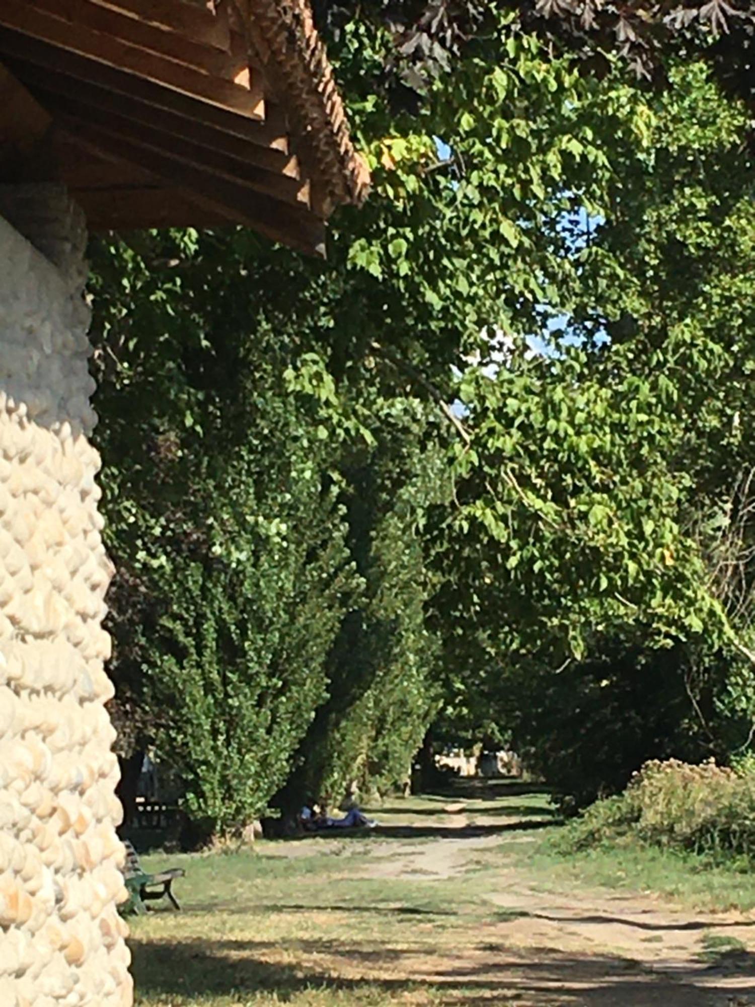 La Villa De Lise Romans-sur-Isère Dış mekan fotoğraf