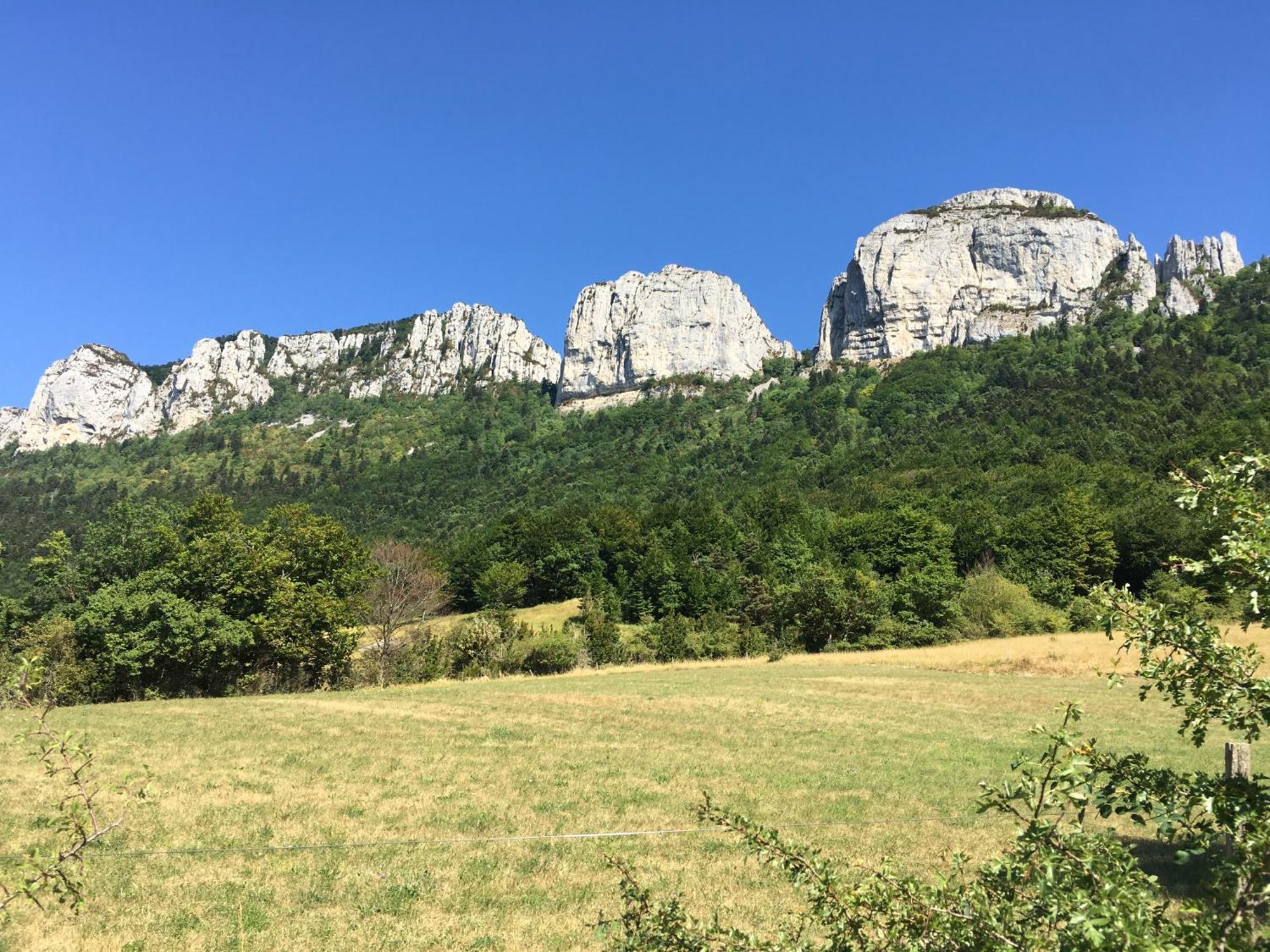 La Villa De Lise Romans-sur-Isère Dış mekan fotoğraf